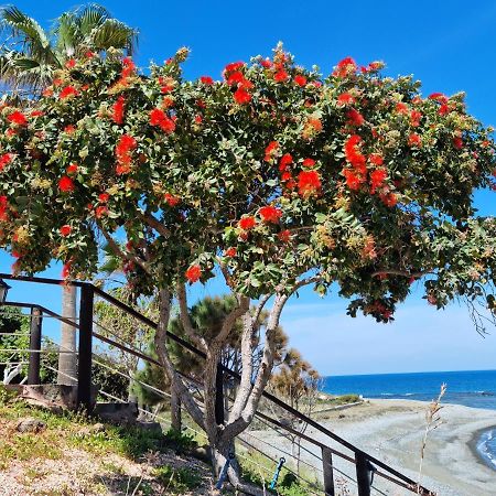 Astrofegia Beachfront Villa Помос Экстерьер фото